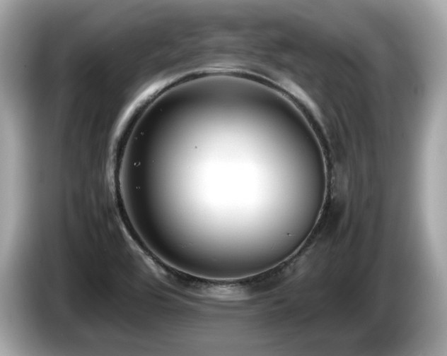 X0000087051464200704181226