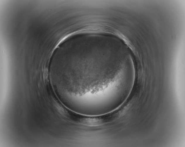 X0000087051465200704181226