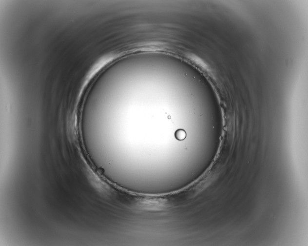 X0000087051466200704181226