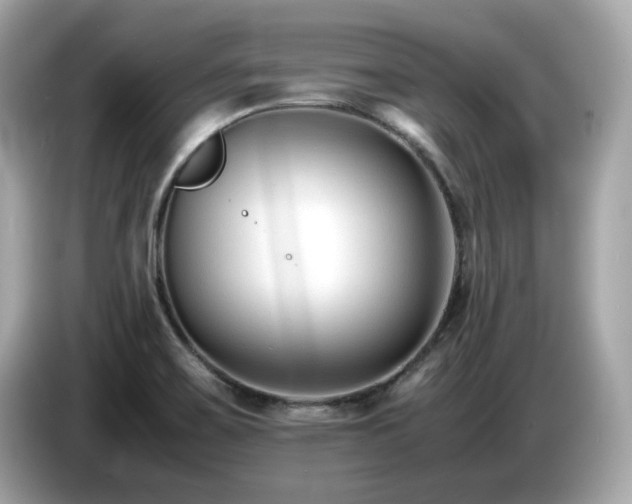 X0000087051467200704181226