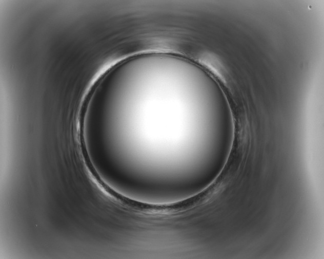 X0000087051468200704181226