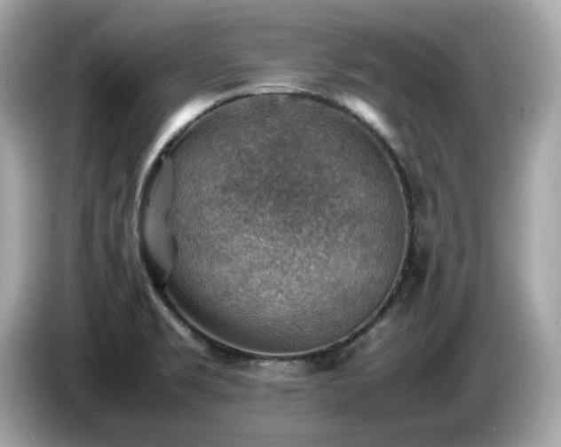 X0000087051469200704181226