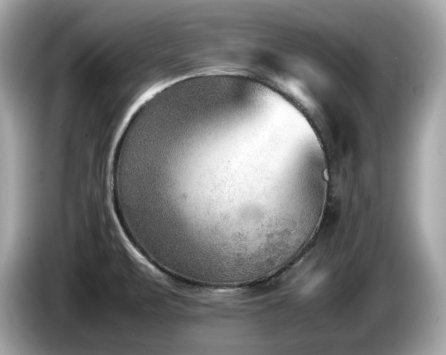 X0000087051471200704181226