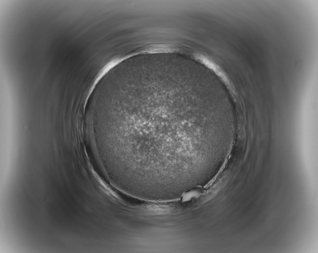 X0000087051473200704181226