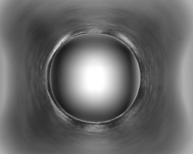 X0000087051475200704181226