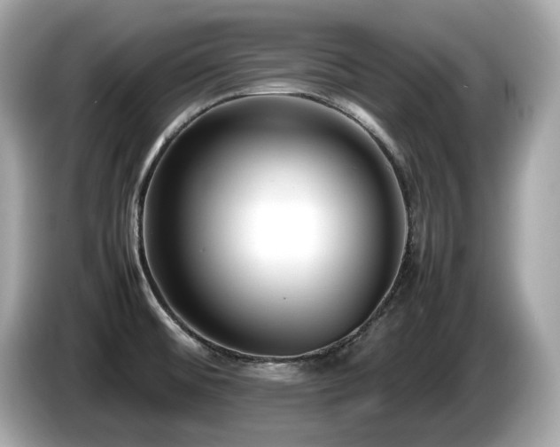 X0000087051476200704181226