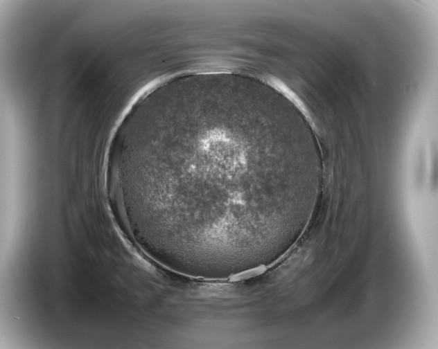 X0000087051477200704181226