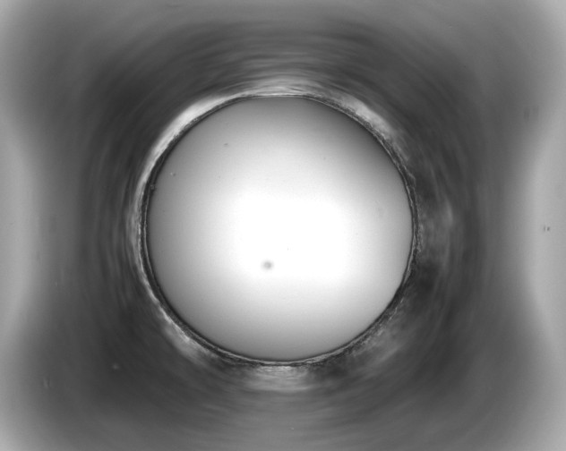 X0000087051478200704181226