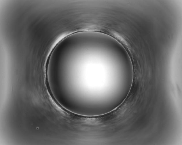 X0000087051479200704181226