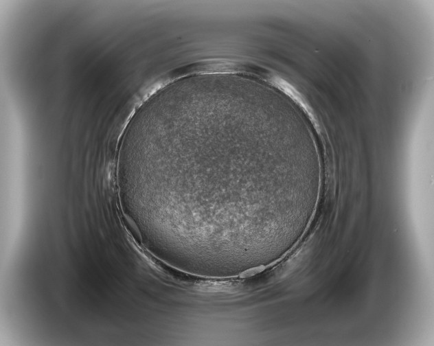 X0000087051481200704181226