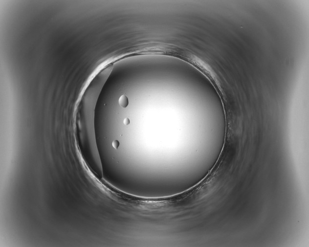 X0000087051483200704181226