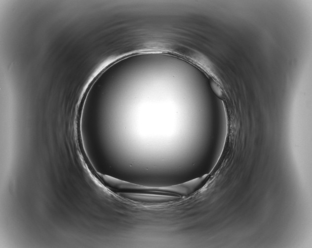 X0000087051484200704181226