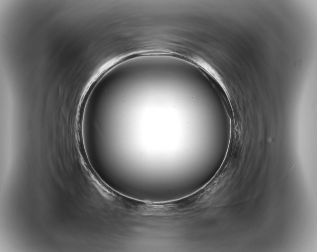 X0000087051485200704181226