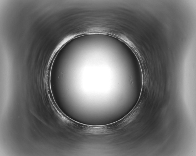 X0000087051486200704181226