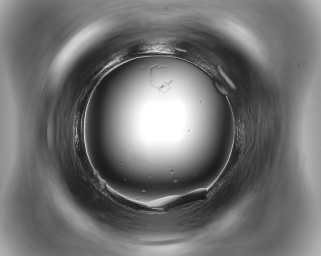 X0000087051487200704181226