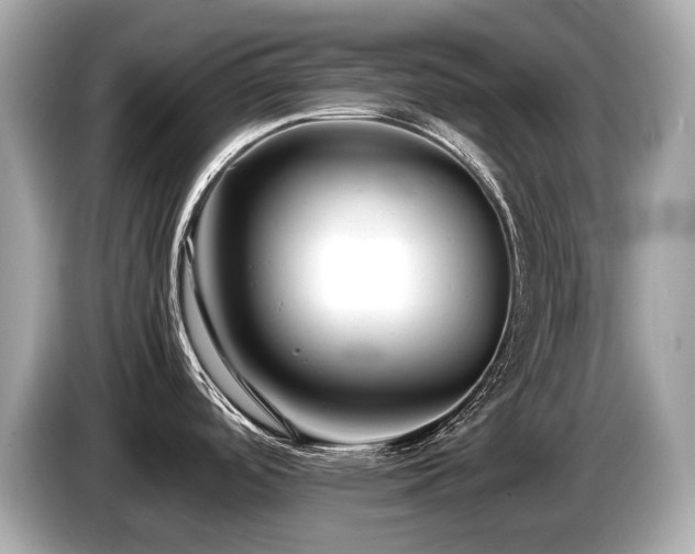 X0000087051488200704181226