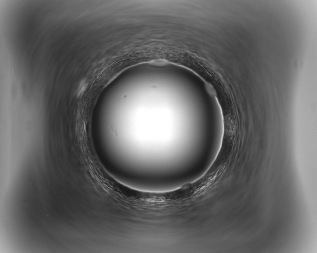 X0000087051489200704181225
