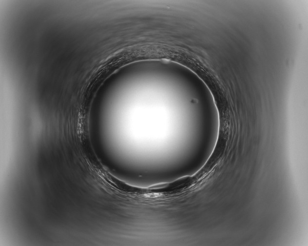 X0000087051490200704181225