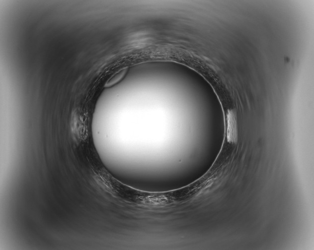 X0000087051491200704181225