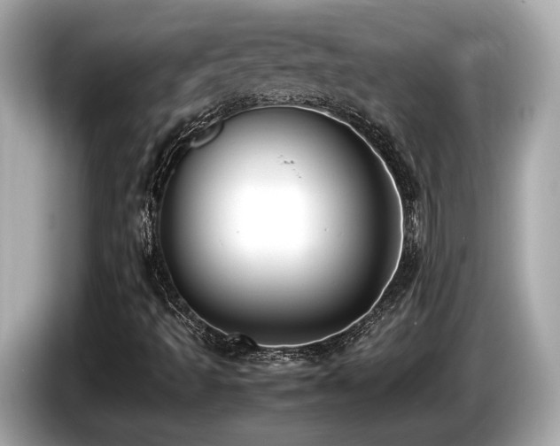 X0000087051493200704181225