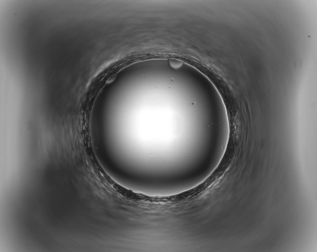X0000087051494200704181225