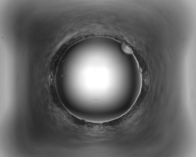 X0000087051495200704181225