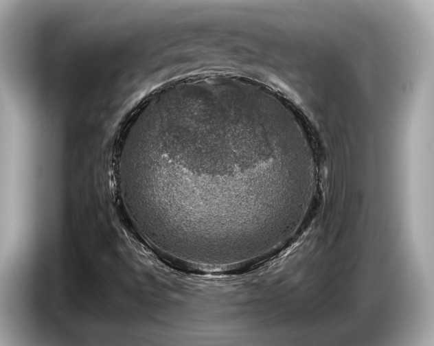 X0000087051496200704181225
