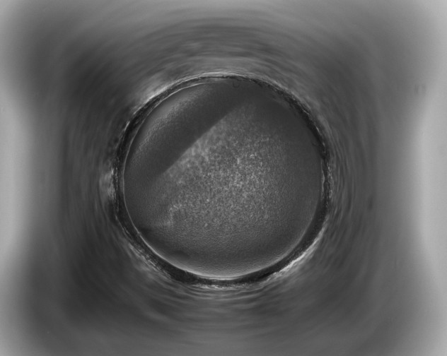 X0000087051497200704181225