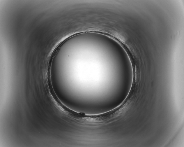 X0000087051500200704181226