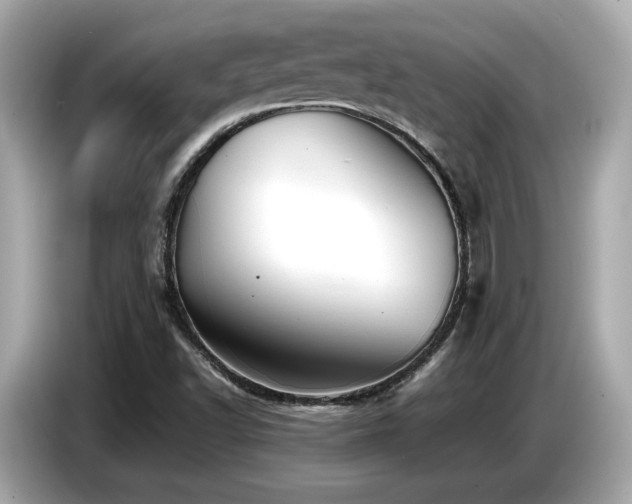 X0000087051502200704181226