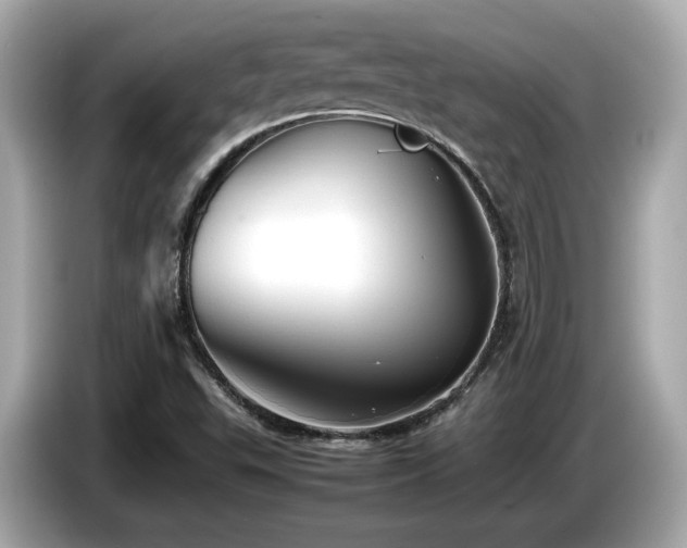 X0000087051503200704181226
