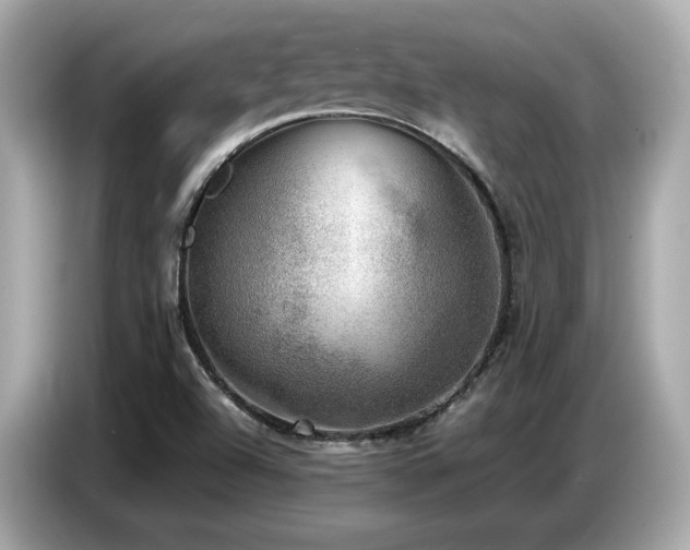 X0000087051504200704181226