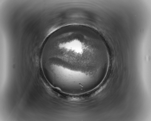 X0000087051505200704181226