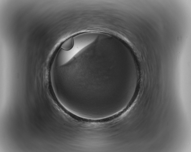 X0000087051506200704181226