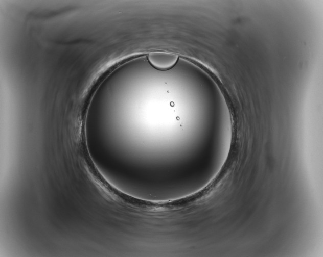 X0000087051507200704181226