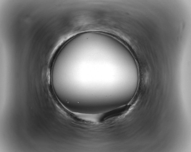X0000087051509200704181226