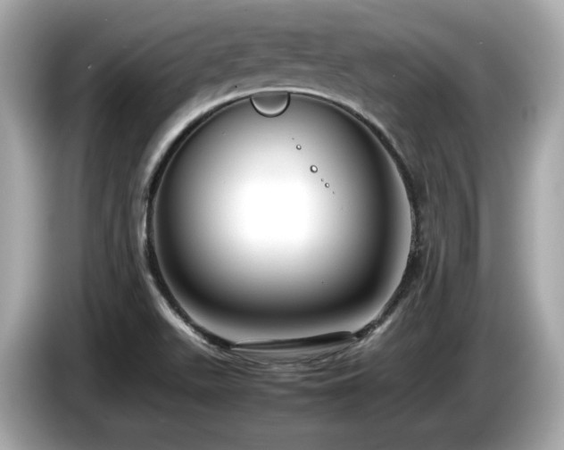 X0000087051511200704181226