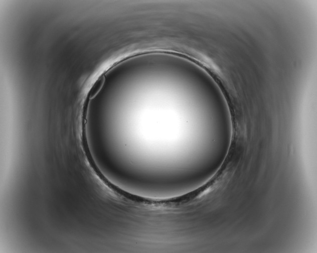X0000087051512200704181226