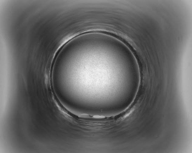 X0000087051513200704181226