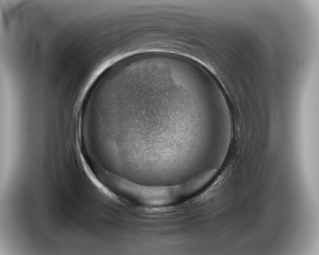 X0000087051515200704181226