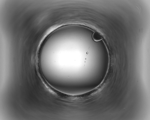 X0000087051517200704181226