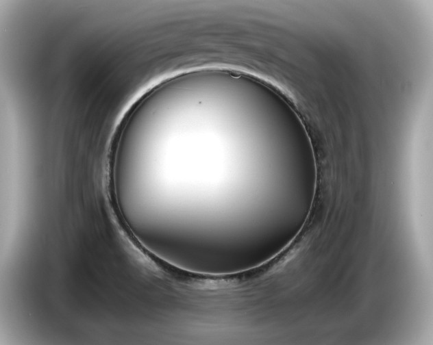 X0000087051518200704181226