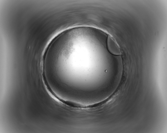 X0000087051519200704181226