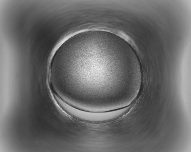 X0000087051520200704181226