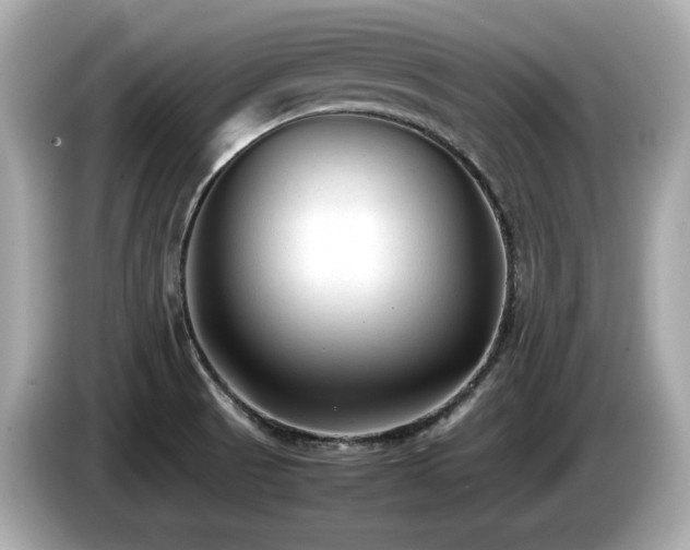 X0000087051521200704181226