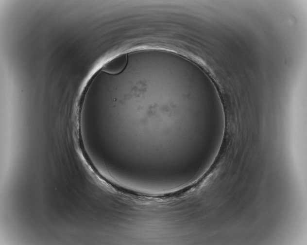 X0000087051522200704181226