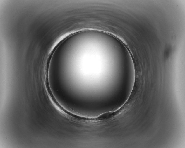 X0000087051523200704181226