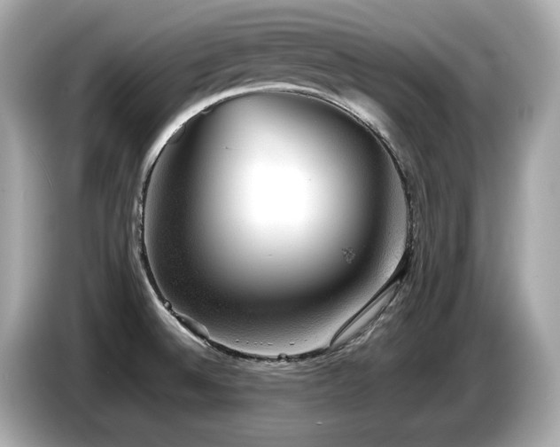 X0000087051524200704181226