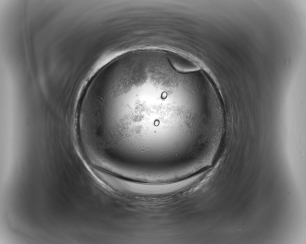 X0000087051525200704181226