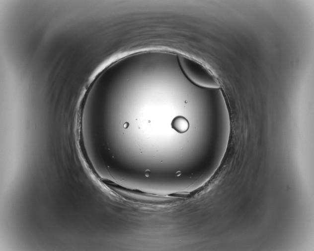X0000087051526200704181226